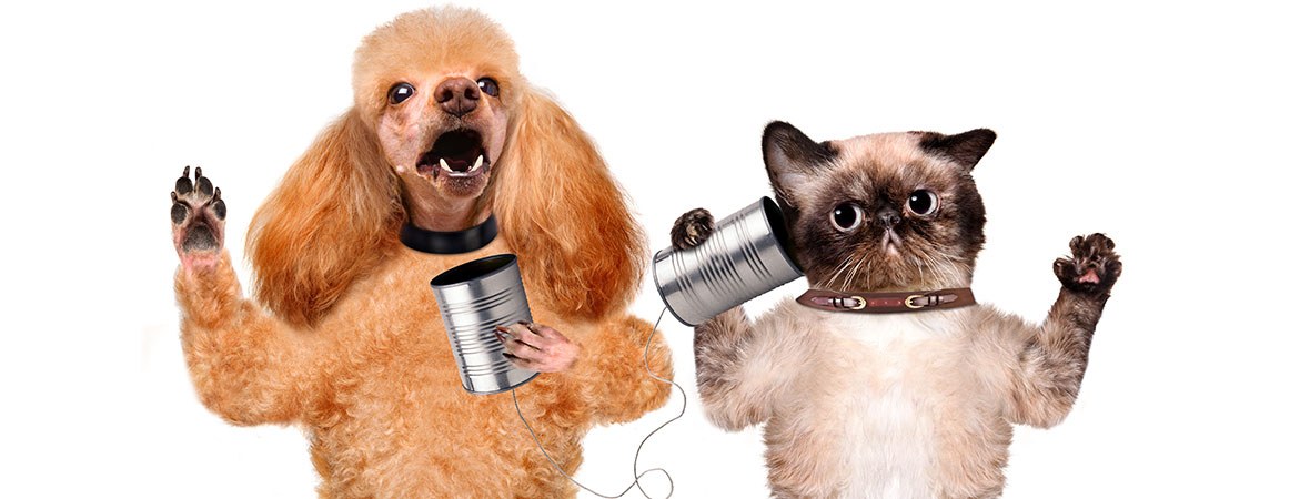 Communication Friendship Communication Friendship