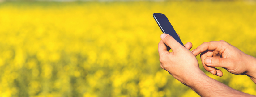 Mobile Marketing Facts