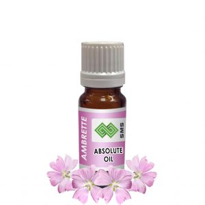 Ambrette Absolute Oil