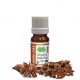 Anise Star Essential Oil Organic