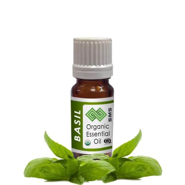 Basil Essential Oil Organic