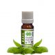 Basil Essential Oil Organic