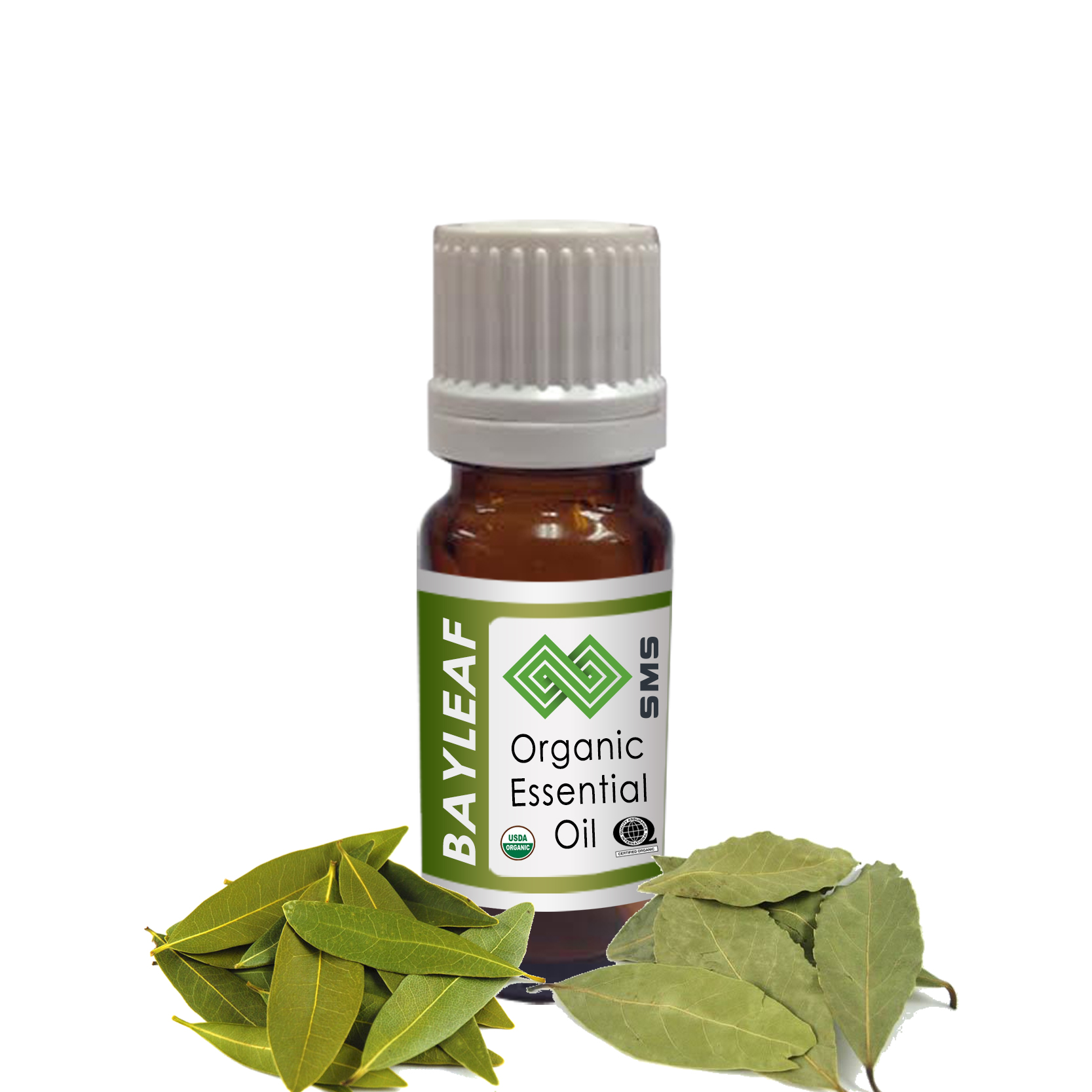 Bayleaf Essential Oil Organic