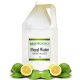 Bergamot Floral Water Organic