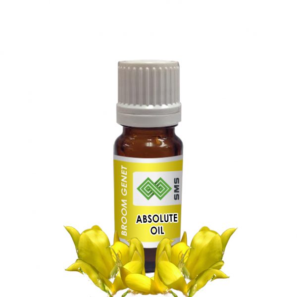 Broom Genet Absolute Oil