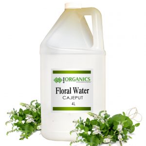 Cajeput Floral Water Organic