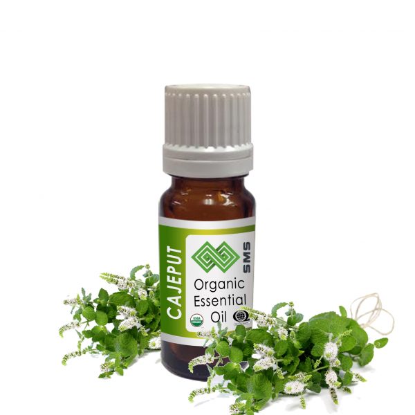 Cajeput Essential Oil Organic