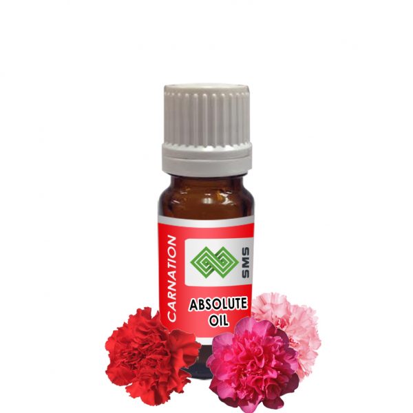 Carnation Absolute Oil