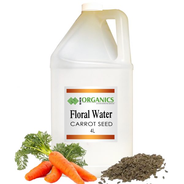 Carrot Seed Floral Water Organic