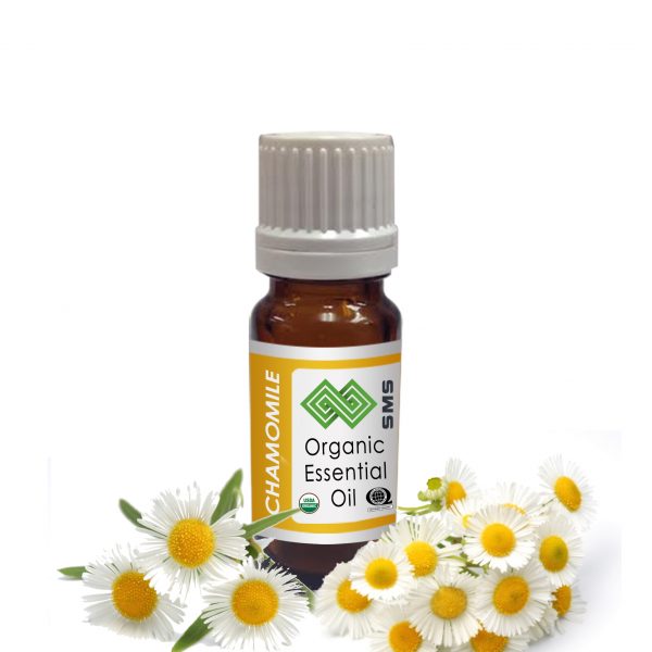 Chamomile German Nepal Essential Oil Organic