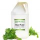 Coriander Floral Water Organic