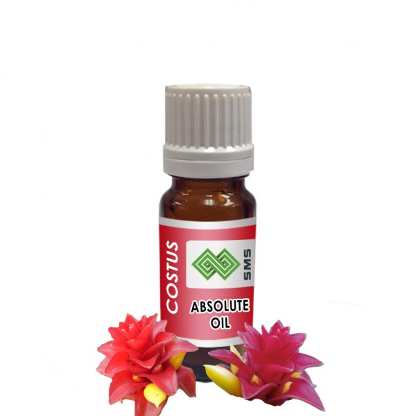 Costus Absolute Oil