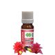 Costus Absolute Oil