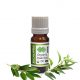 Eucalyptus Essential Oil Smithi Organic