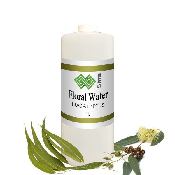 Eucalyptus Floral Water Globulus Organic