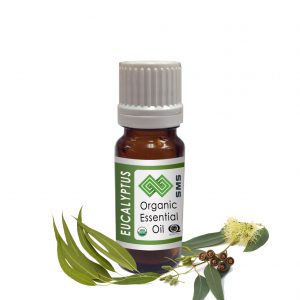 Eucalyptus Essential Oil Globulus Organic