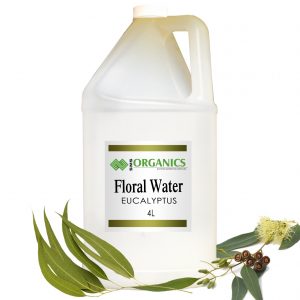 Eucalyptus Floral Water Globulus Organic