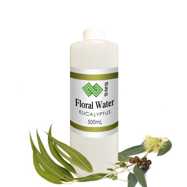 Eucalyptus Floral Water Globulus Organic