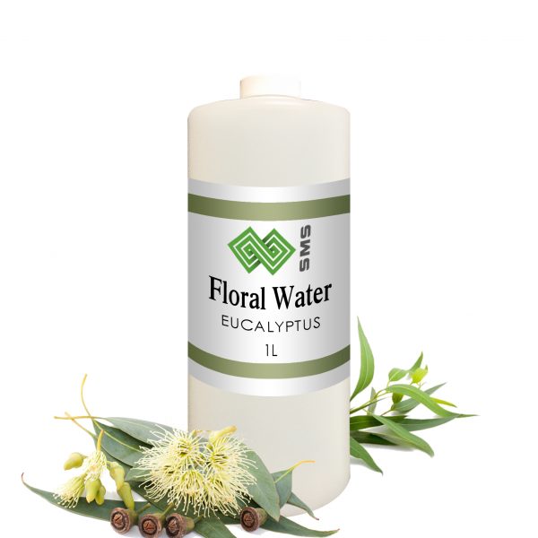 Eucalyptus Floral Water Radiata Organic