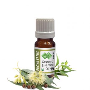 Eucalyptus Essential Oil Radiata Organic