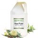 Eucalyptus Floral Water Radiata Organic