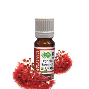 Eucalyptus Essential Oil Red Organic