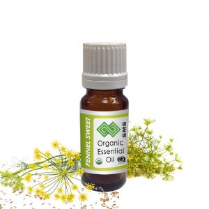 Fennel Sweet Essential Oil Organic