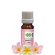 Frangipani Absolute Oil