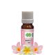 Frangipani Absolute Oil