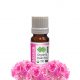 Geranium Essential Oil Organic