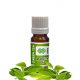 Green Tea Absolute Oil