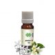 Jasminum Grandiflorum Absolute Oil