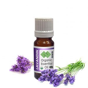 Lavadin Essential Oil Organic