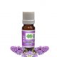 Lilac Absolute Oil