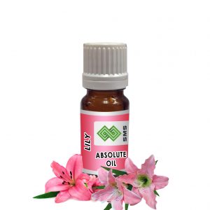 Lily Absolute Oil