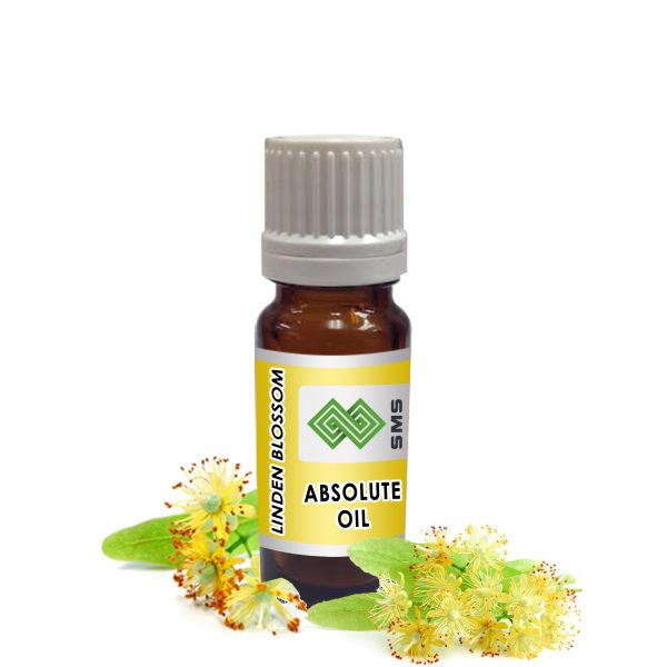 Linden Blossom Absolute Oil