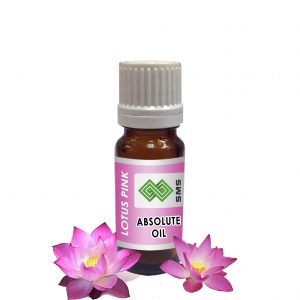 Lotus Pink Absolute Oil