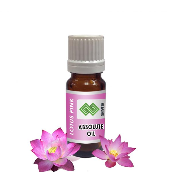 Lotus Pink Absolute Oil