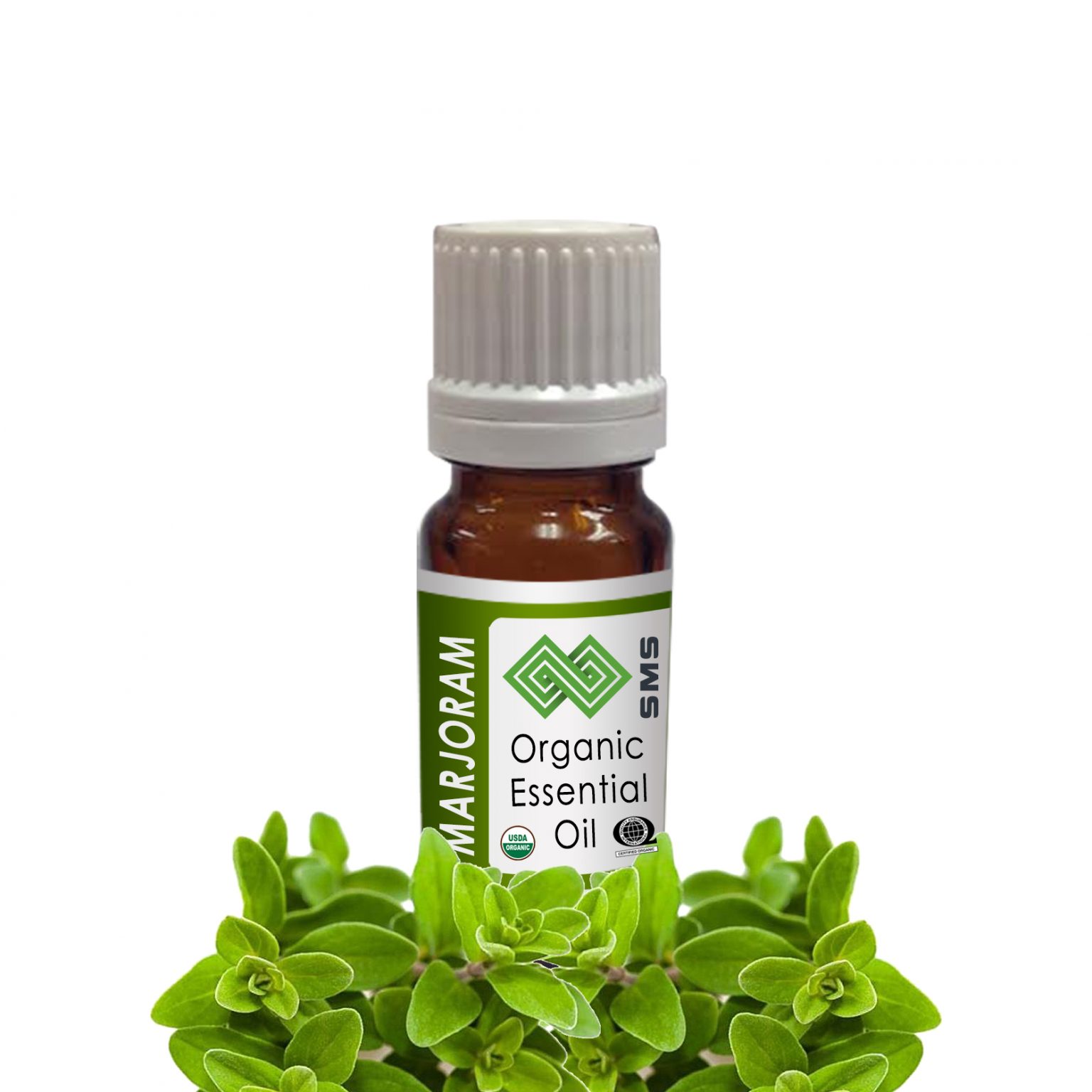 Marjoram Essential Oil Organic Pure Essential Oils