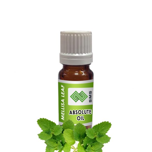 Melissa Leaf Absolute Oil