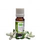 Niaouli Essential Oil Organic