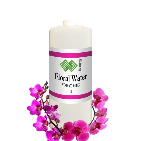Orchid Flower Floral Water