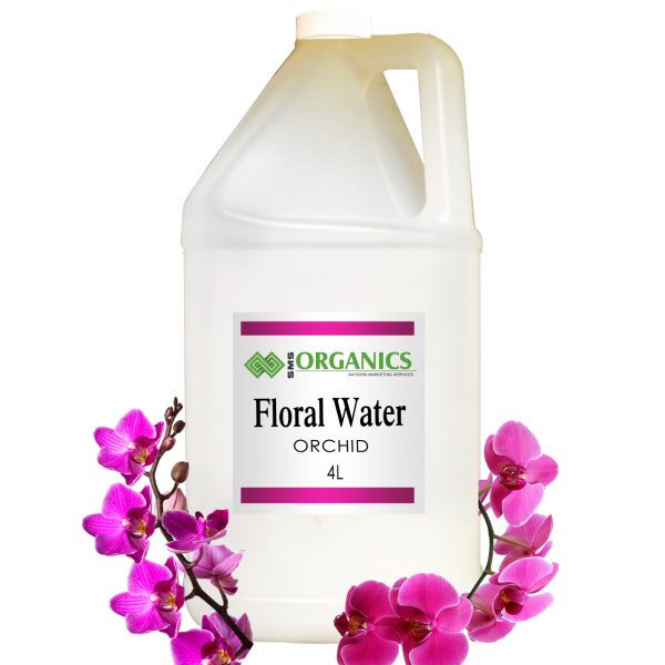 Orchid Flower Floral Water