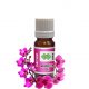 Orchid Flower Absolute Oil