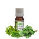 Oregano Essential Oil Organic