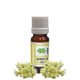 Osmanthus Absolute Oil