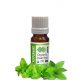 Peppermint Essential Oil Organic