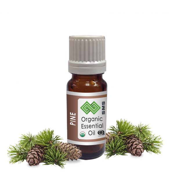 Pine Essential Oil Organic