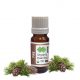 Pine Essential Oil Organic