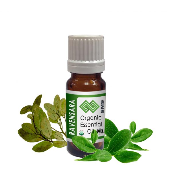 Ravensara Essential Oil Organic